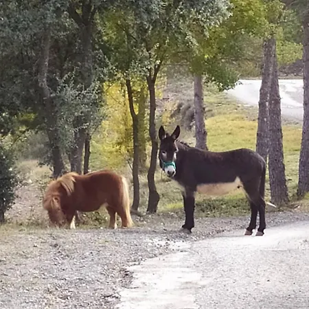 Casa Fausto Cerca De Dinopolis