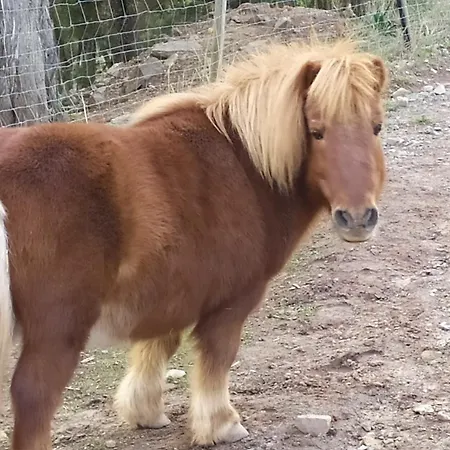 Casa Fausto Cerca De Dinopolis Feriehus