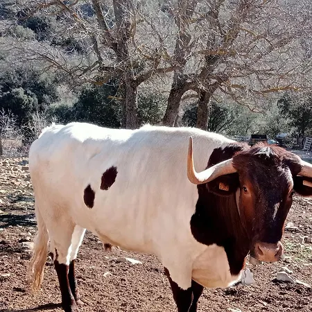 Casa Fausto Cerca De Dinopolis *