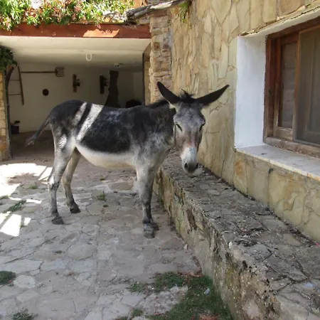 Casa Fausto Cerca De Dinopolis Formiche Alto