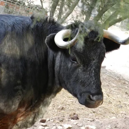 Casa Fausto Cerca De Dinopolis *