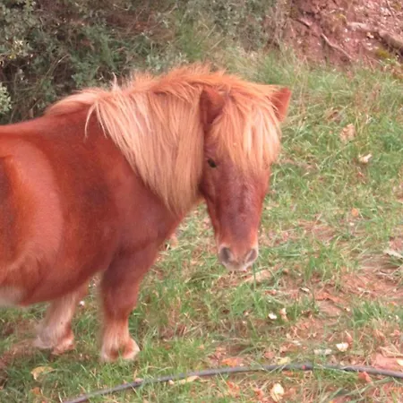 Casa Fausto Cerca De Dinopolis Formiche Alto