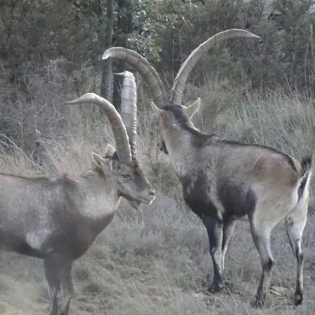 Casa Fausto Cerca De Dinopolis