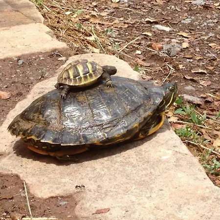 Casa Fausto Cerca De Dinopolis