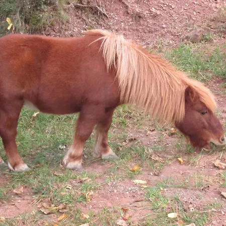 Casa Fausto Cerca De Dinopolis 펜션