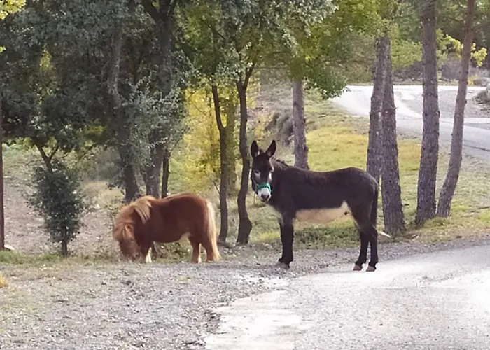 Casa Fausto Cerca De Dinopolis