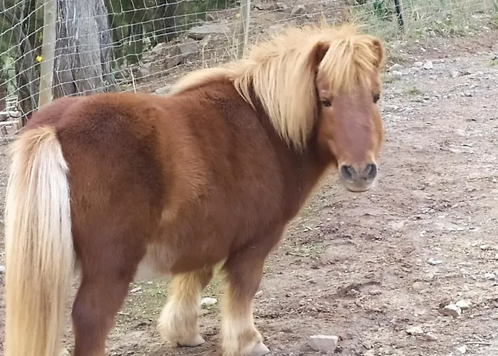 Casa Fausto Cerca De Dinopolis Vakantiehuis