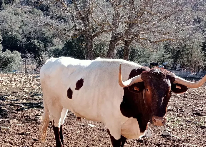 Casa Fausto Cerca De Dinopolis *